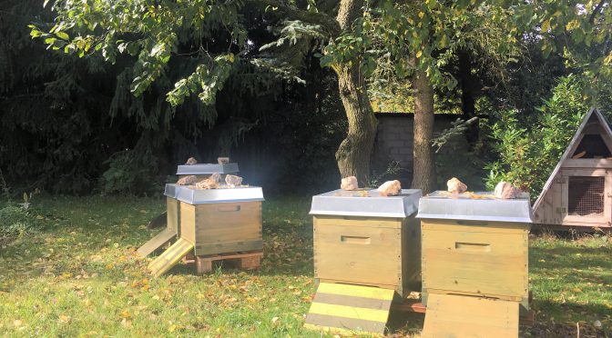 Bienenstand am Wohnhaus