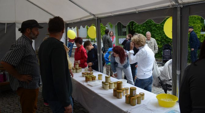 Herbstfest 2025 – Botanischer Garten Chemnitz